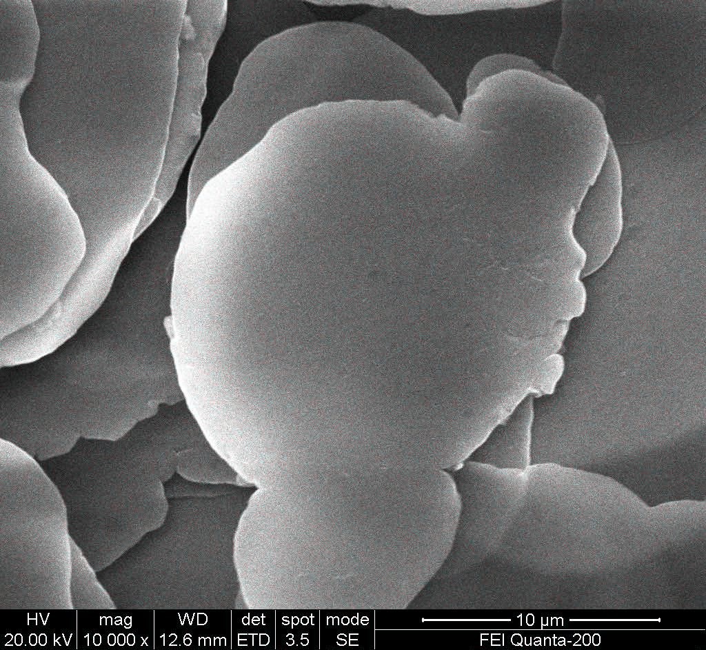 1308_006.jpg 1308_006.jpg