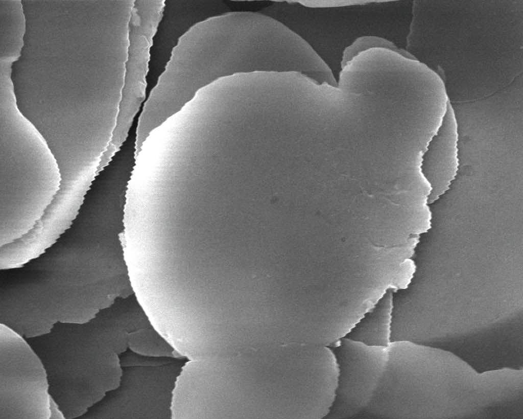 62f03647185841208678610eba3c0804.jpg 62f03647185841208678610eba3c0804.jpg